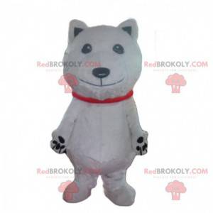 Polar bear mascot, white dog costume, white disguise -