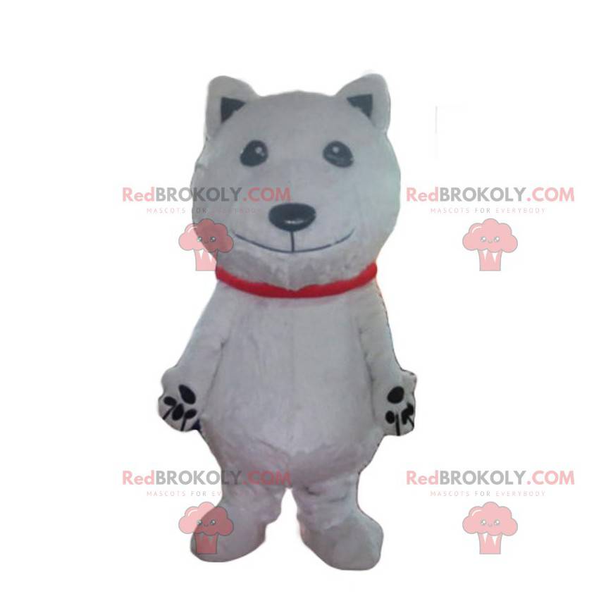 Eisbärenmaskottchen, weißes Hundekostüm, weiße Verkleidung -