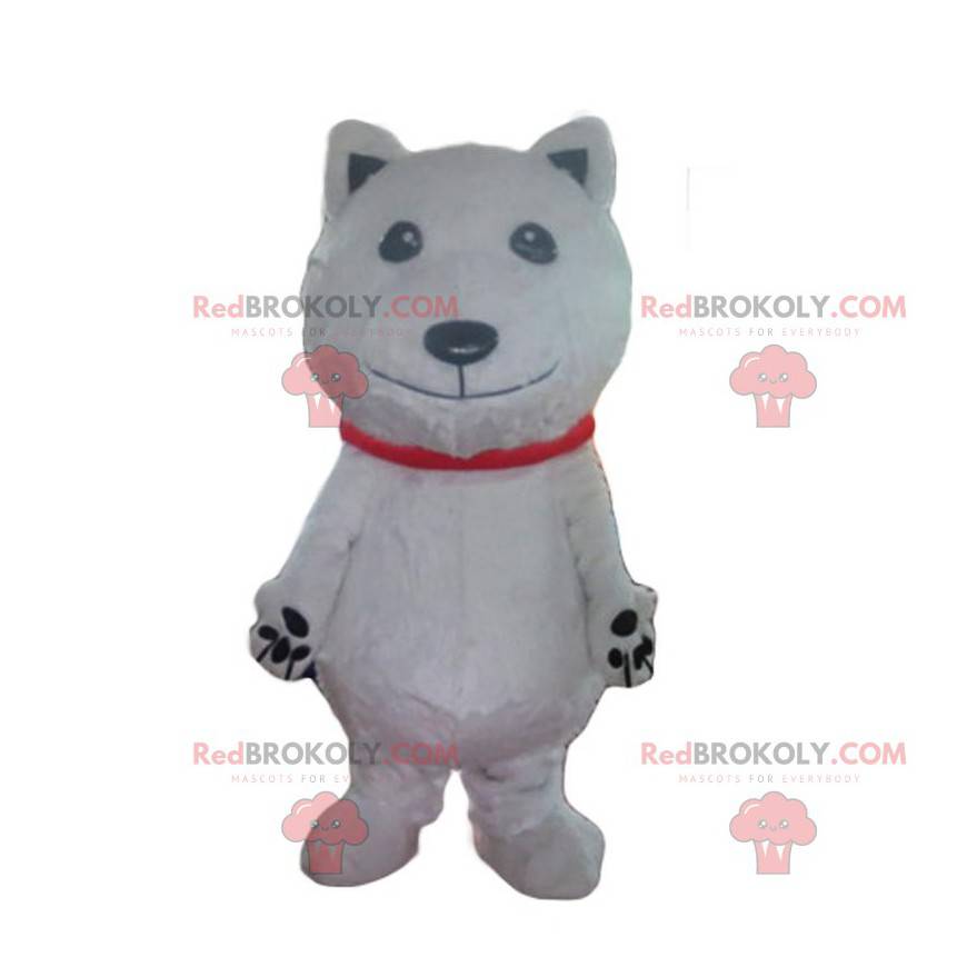 Maskot ledního medvěda, kostým bílého psa, bílý převlek - Maskot ledního medvěda, kostým bílého psa, bílý převlek -