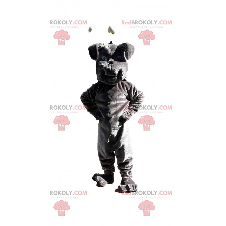 Grå bulldog maskot, hundedragt, doggie kostume - Redbrokoly.com