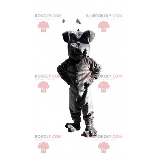 Gray bulldog mascot, dog costume, doggie costume -