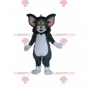 Tom mascot, Tom and Jerry's famous cat - Redbrokoly.com