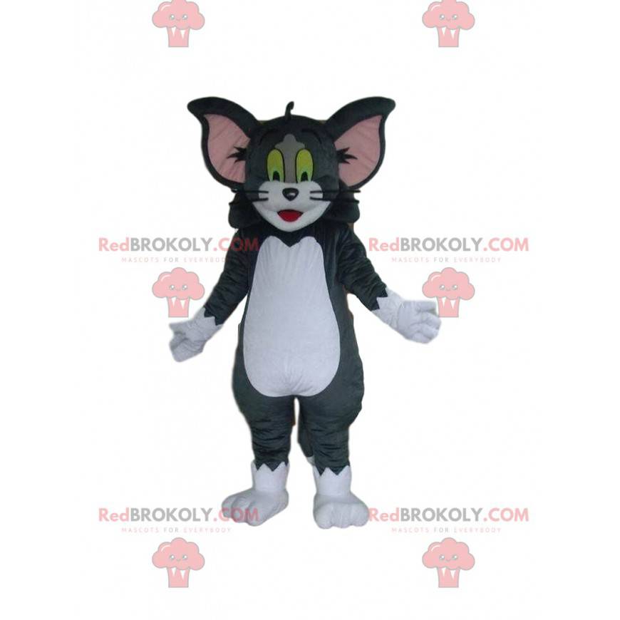 Tom mascot, Tom and Jerry's famous cat - Redbrokoly.com