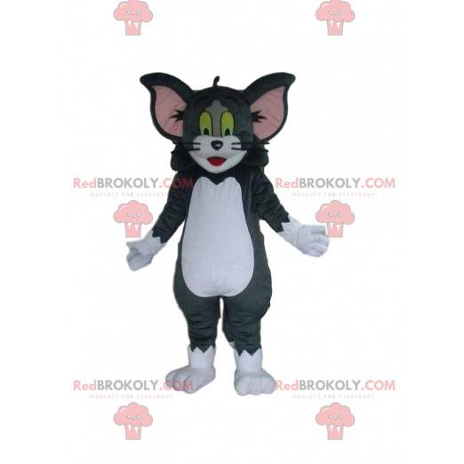 Mascota de Tom, el famoso gato de Tom y Jerry - Redbrokoly.com