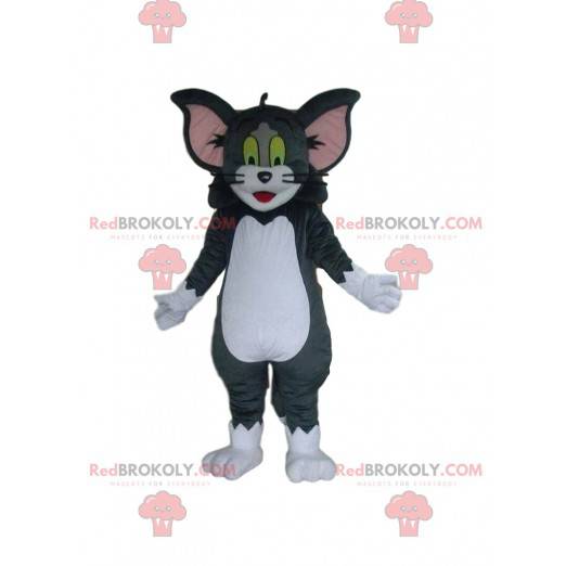 Tom mascot, Tom and Jerry's famous cat - Redbrokoly.com