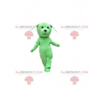 Mascotte cane verde, costume da cagnolino, travestimento verde