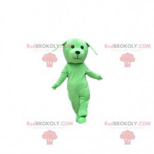 Mascotte de chien vert, costume de toutou, déguisement vert -