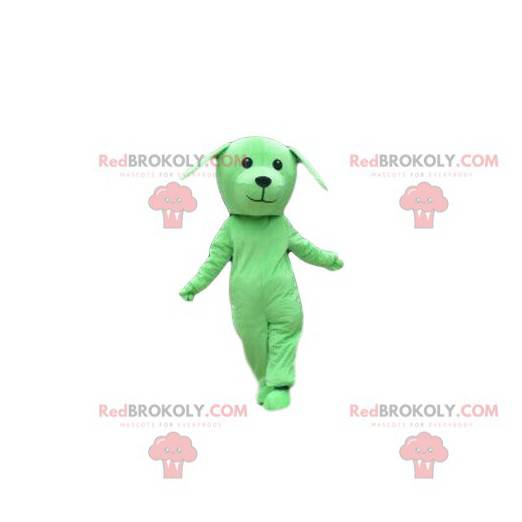 Mascota perro verde, disfraz de perrito, disfraz verde -