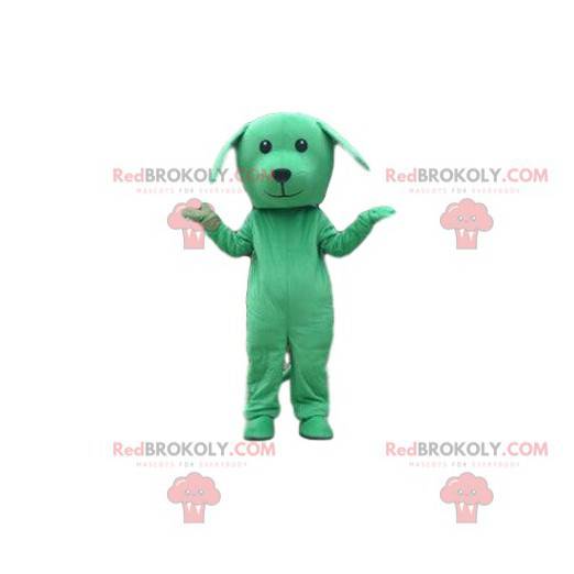 Costume da cane verde, mascotte cagnolino, travestimento verde