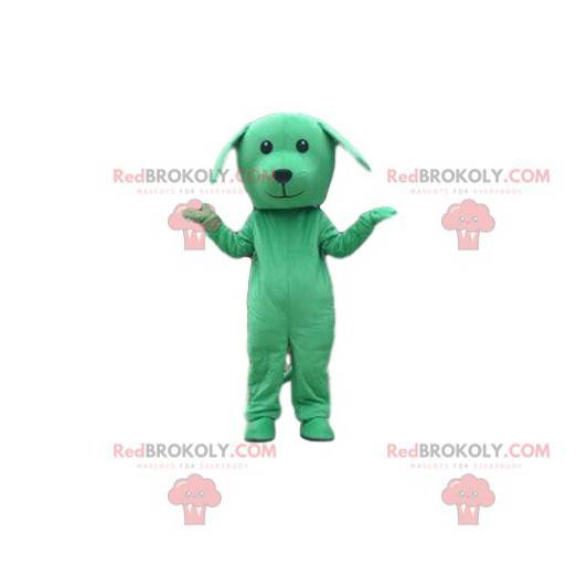 Disfraz de perro verde, mascota perrito, disfraz verde -
