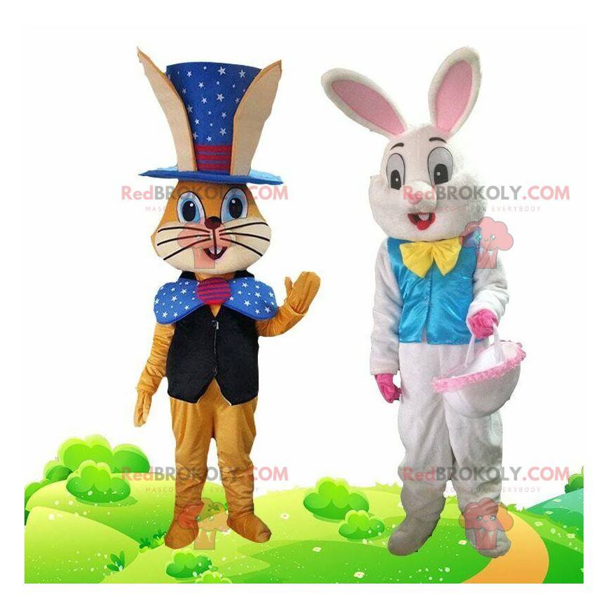 2 mascotas de conejo vestidas con trajes festivos - 2 mascotas de conejo vestidas con trajes festivos -