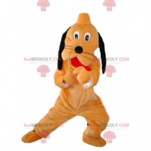 Maskot Pluto, berømt hund orange og sort Walt Disney -