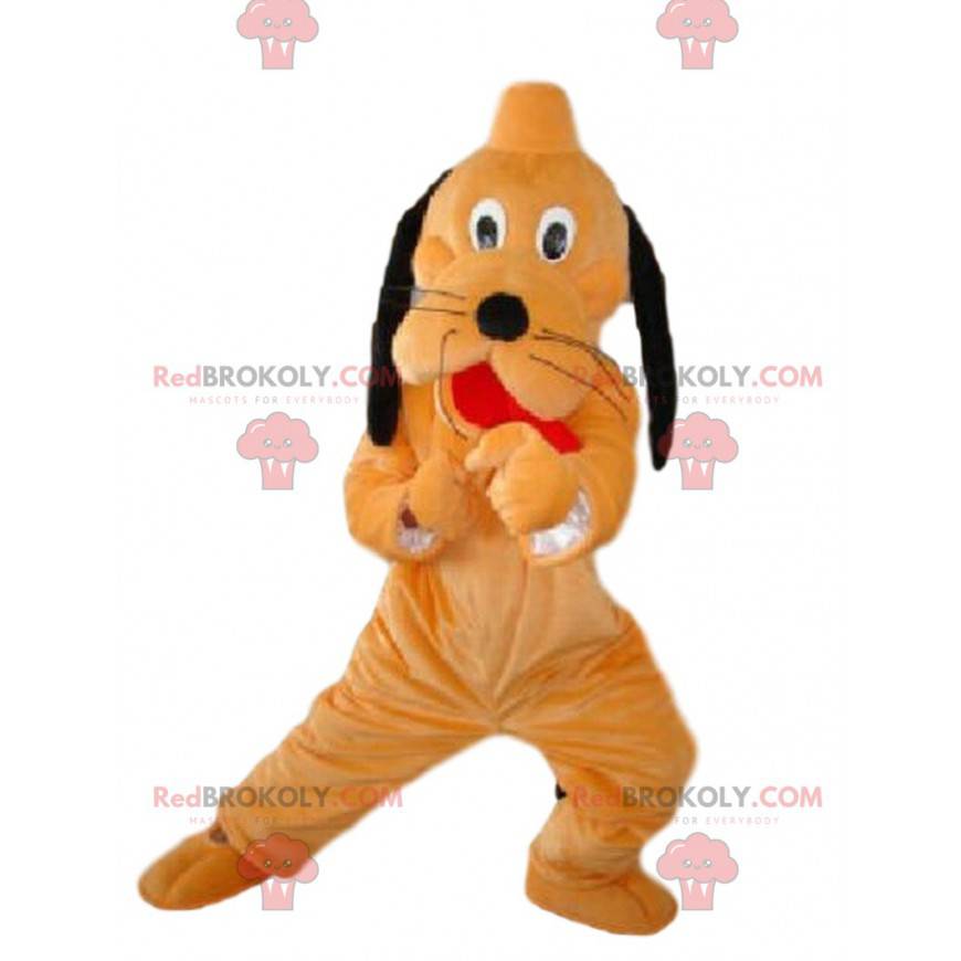 Mascot Pluto, famous dog orange and black Walt Disney -