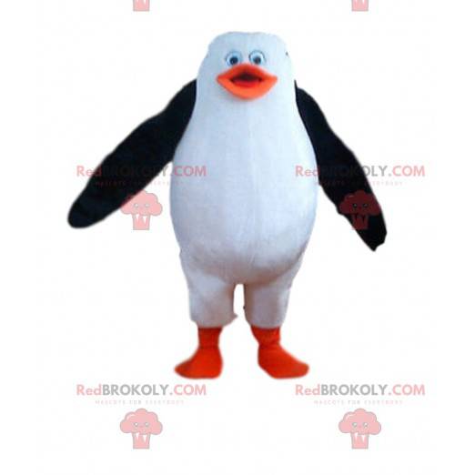 Penguin mascot from the film The penguins of Madagascar -