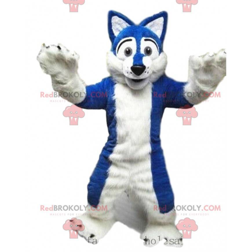 Mascotte di cane husky, costume da volpe, travestimento peloso