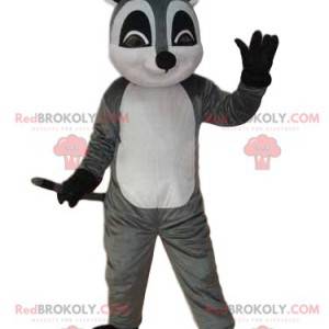 Mascotte de lémurien gris et blanc, costume de putois -