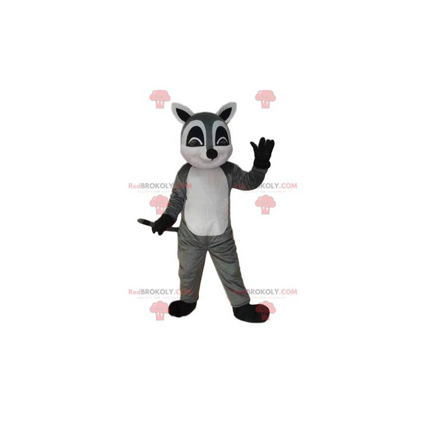 Mascotte lemure grigio e bianco, costume puzzola -