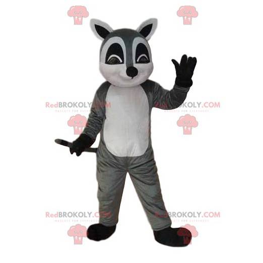 Mascotte lemure grigio e bianco, costume puzzola -