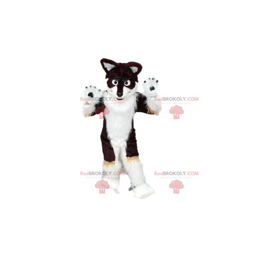 Husky hond mascotte, zwart en wit, harige vos kostuum -