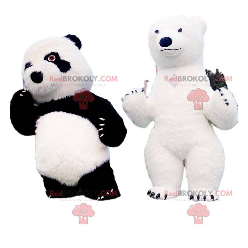 2 mascotes ursos, um panda e um urso polar - Redbrokoly.com