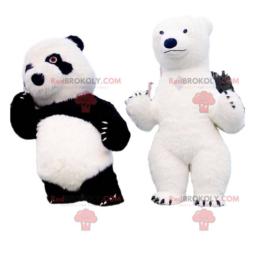 2 mascotte orso, un panda e un orso polare - Redbrokoly.com 2 mascotte orso, un panda e un orso polare - Redbrokoly.com