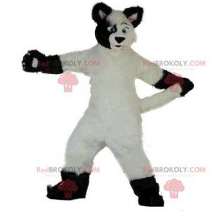 Mascota perro blanco y negro, suave y peludo, disfraz de zorro