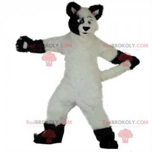 White and black dog mascot, soft and hairy, fox costume -