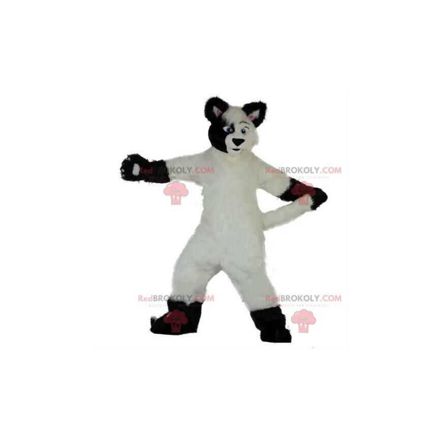 Maskot bílý a černý pes, měkký a chlupatý, kostým lišky -