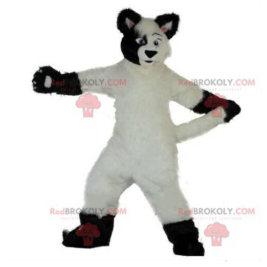 Maskot bílý a černý pes, měkký a chlupatý, kostým lišky -