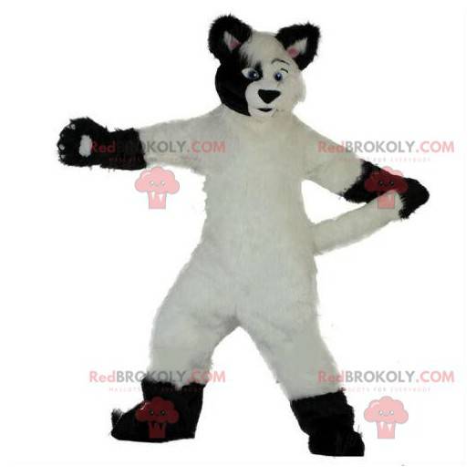 Weißes und schwarzes Hundemaskottchen, weich und haarig, Fuchs