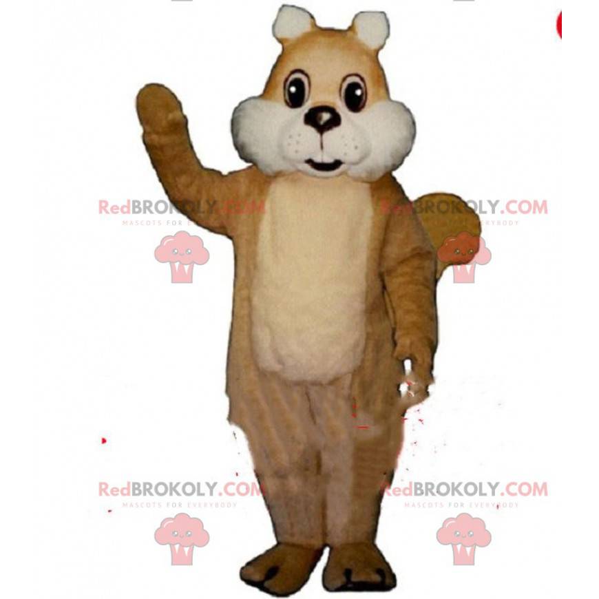 Mascote de esquilo marrom, fantasia de floresta, esquilo