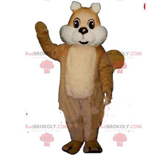Brown squirrel mascot, forest costume, giant squirrel -