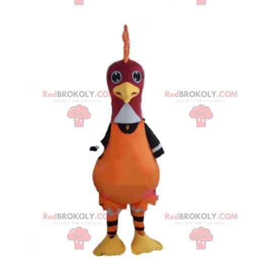 Mascotte gallo, tacchino, costume da uccello, faraona colorata