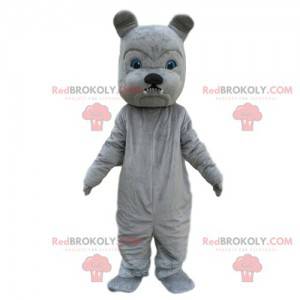 Gray bulldog mascot, dog costume, naughty dog - Redbrokoly.com