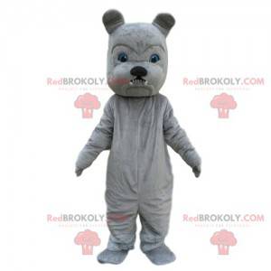 Mascotte bulldog grigio, costume da cane, cane cattivo -