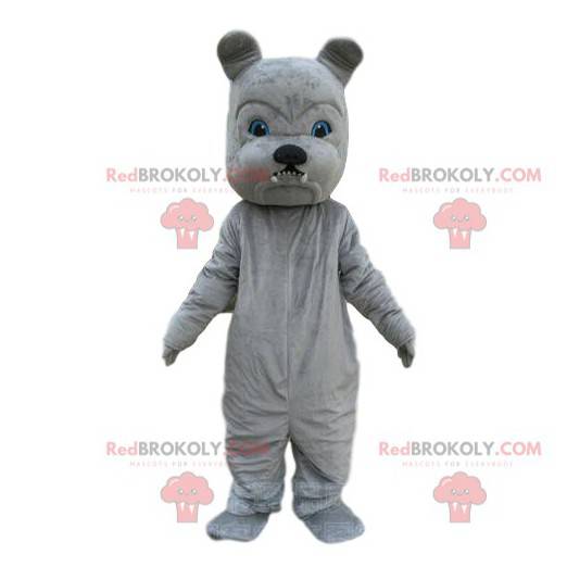 Gray bulldog mascot, dog costume, naughty dog - Redbrokoly.com