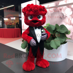 Röd blomkål maskot kostym...