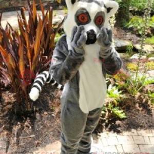 Lille grå og hvid abe lemur maskot - Redbrokoly.com