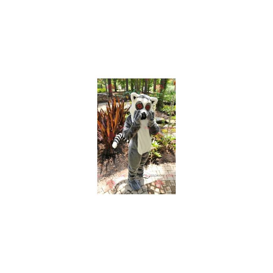 Malý maskot šedé a bílé opice lemur - Redbrokoly.com Malý maskot šedé a bílé opice lemur - Redbrokoly.com