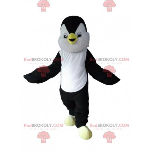 Black and white penguin mascot, penguin costume - Redbrokoly.com