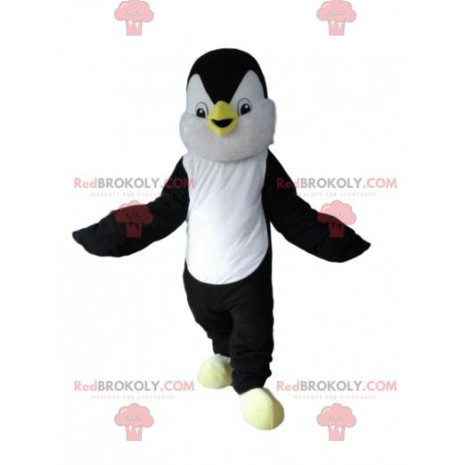 Mascote pinguim preto e branco, fantasia de pinguim -