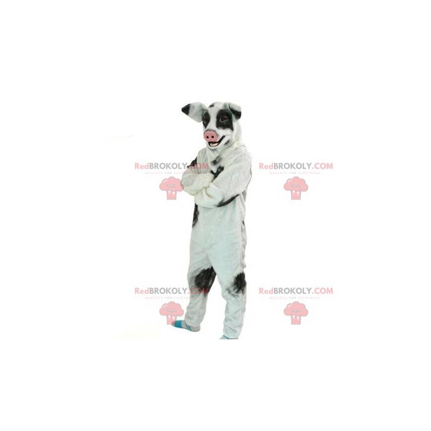 Wildschweinmaskottchen, Wildschweinkostüm, Wildschwein -