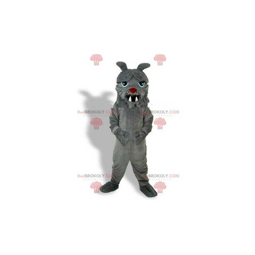 Šedý buldok maskot, kostým psa, nezbedný pes - Redbrokoly.com Šedý buldok maskot, kostým psa, nezbedný pes - Redbrokoly.com