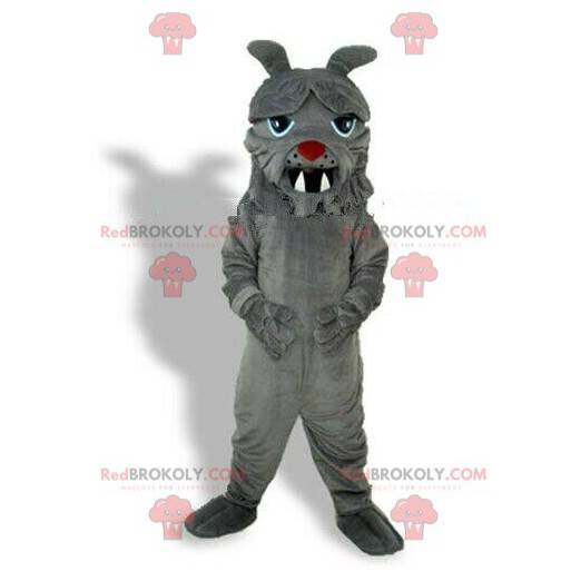 Szary buldog maskotka, kostium psa, niegrzeczny piesek -