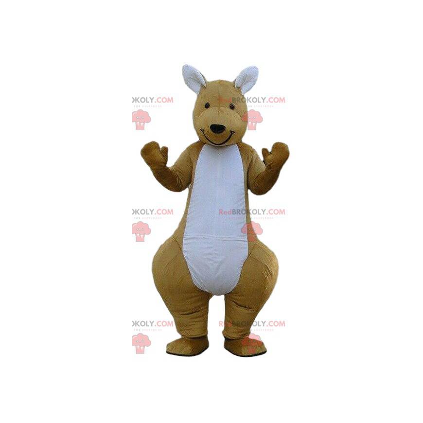 Brun og hvit kenguromaskott, dyr Australia - Redbrokoly.com