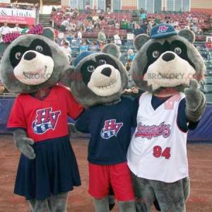 3 tricolor bear raccoon mascots - Redbrokoly.com