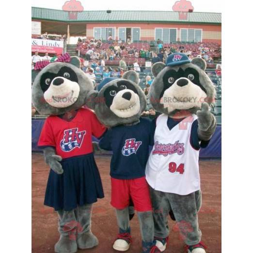 3 tricolor bear raccoon mascots - Redbrokoly.com