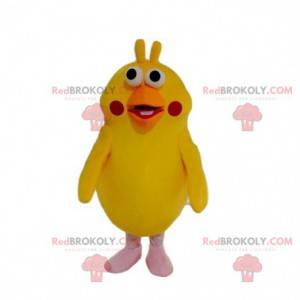 Mascota del loro amarillo, divertido disfraz de pájaro -