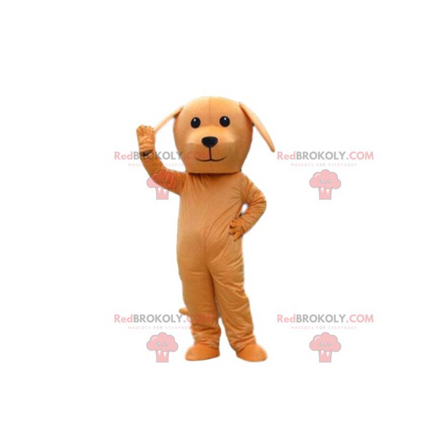 Mascote de cachorro laranja, fantasia laranja, fantasia canina