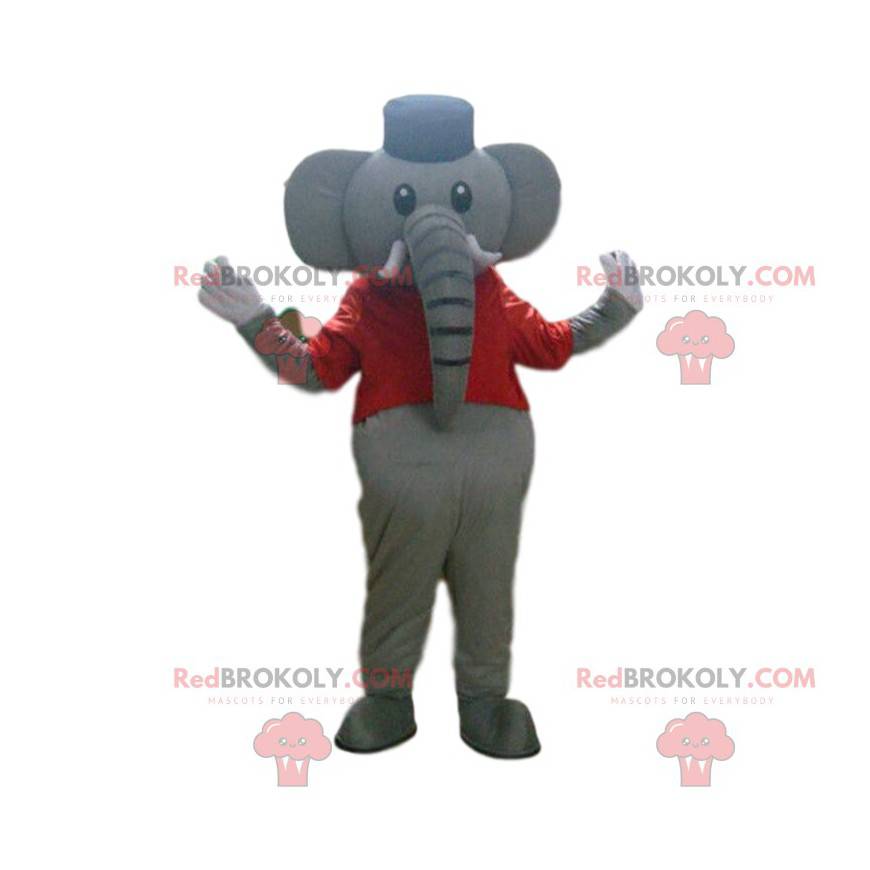 Grå elefant maskot, cirkusdragt, cirkusdyr - Redbrokoly.com Grå elefant maskot, cirkusdragt, cirkusdyr - Redbrokoly.com